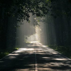 Goal Setting and Accountability